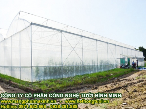Lưới chắn côn trùng politiv israel ,công ty nhập khẩu lưới chắn côn trùng politiv israel