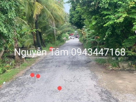 mặt đường quyết tiến Hợp Đức Đồ Sơn HP giá chi có 2,x tr