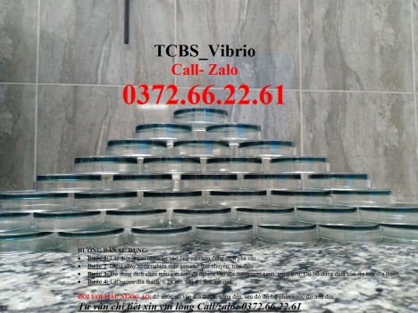 Vibrio trên tcbs nuôi cấy, định lượng, đánh giá chính xác