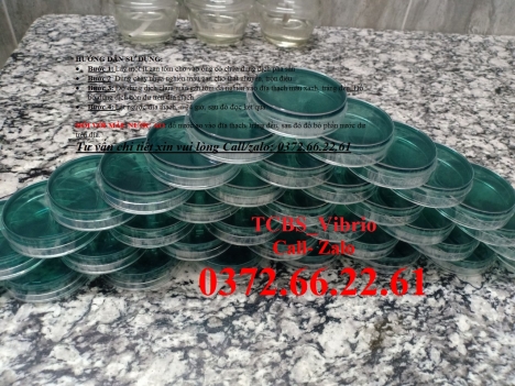 Môi trường nuôi cấy vi khuẩn vibrio - tcbs agar