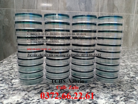 Vibrio trên tcbs nuôi cấy, định lượng, đánh giá chính xác