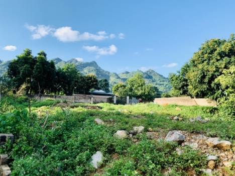 Bán Đất Mộc Châu View Đồi, Núi Thoáng Đẹp, Nhiều Tiện Ích Xung Quanh Giá Tốt