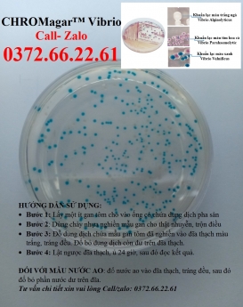 Cách kiểm khuẩn gây bệnh trên tôm