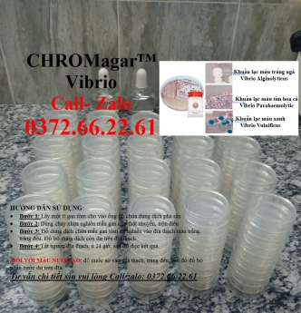 Cách kiểm khuẩn gây bệnh trên tôm - Vibrio