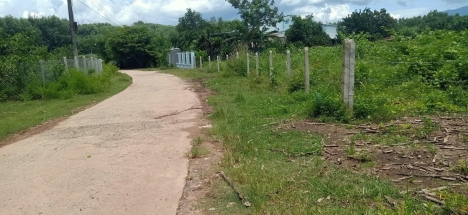 Bán Lô Đát Biệt Thự Diên Xuân Diên Khánh Khánh Hòa