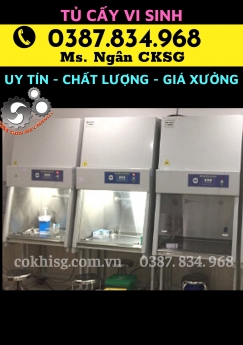 Tủ Cấy Vi Sinh Dòng Khí Thổi Đứng Loại Nhỏ