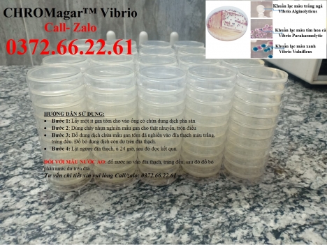 Cách kiểm tra khuẩn gây bệnh trên gan tôm
