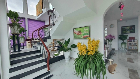 HẠ 3 TỶ BÁN NHANH BIỆT THỰ ĐÀ LẠT