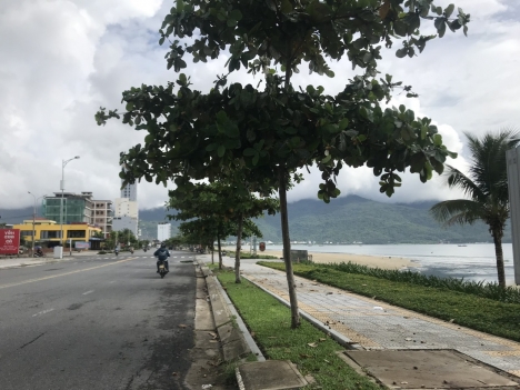 Cần tiền giả quyết việc lớn, bán rẻ Đất Mặt Biển Võ Nguyên Giáp, Sơn Trà - Gần 200m2 - Chỉ có 58 tỷ.