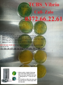 Set đĩa thạch kiểm khuẩn ao nuôi thủy sản