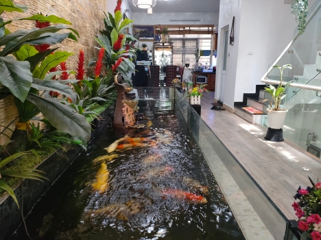Đẳng cấp_ Thương hiệu_ Ở cực sướng_ Làng Việt Kiều Châu Âu- Hiếm.