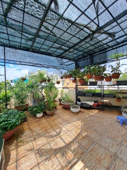 Bán Biệt Thự View Công Viên Phường Tân Phong. Quận 7. 12x14m. 4 Tầng. 34 Tỷ