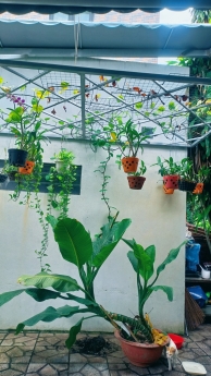 Ngộp Bank bán gấp nhà Nguyễn Văn Tăng, Long Thạnh Mỹ, Quận 9, 165m2, giá 8 tỷ 4