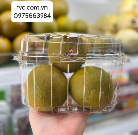 Gợi ý Top mẫu hộp nhựa đựng cam chất lượng trên thị trường