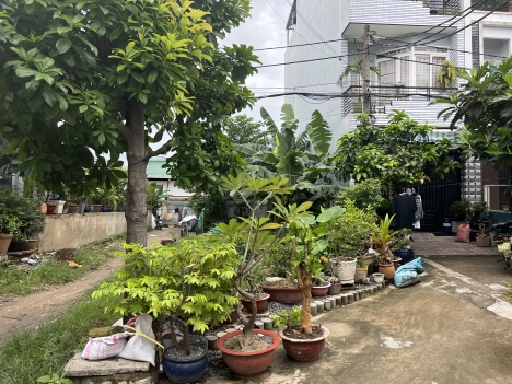 Bán đất thổ cư, cư xá Đại Học TCKT HCM, ngay ngã tư Võ Văn Kiệt-An Dương Vương, gần chợ trường học.