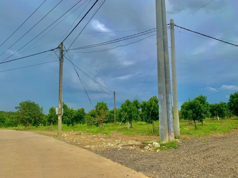 Bán vườn bưởi đường bê tông gần Hồ Trị An Định Quán, Đồng Nai