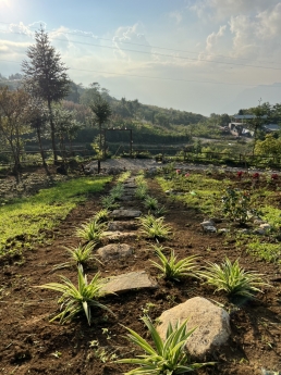 Bán Đất 2 Mặt Tiền, View Săn Mây, Thung Lũng Ruộc Bậc Thang Cực Đẹp Tại Y Tý, lào cai - Sapa 2