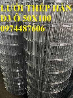 Lưới thép hàn D3 ô 50x100 mạ kẽm . Hàng sẵn kho Hà Nội