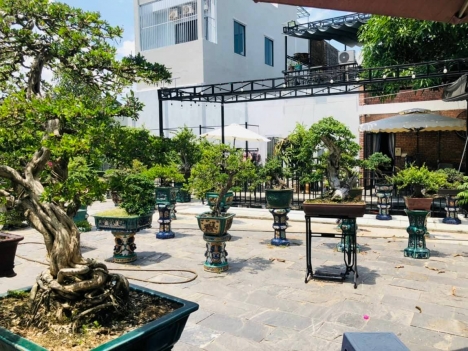 Hót Hót!!! Siêu Phẩm BT Sân Vườn Tôn Đản 650 m2, giá nhỉnh 16 tr/m2
