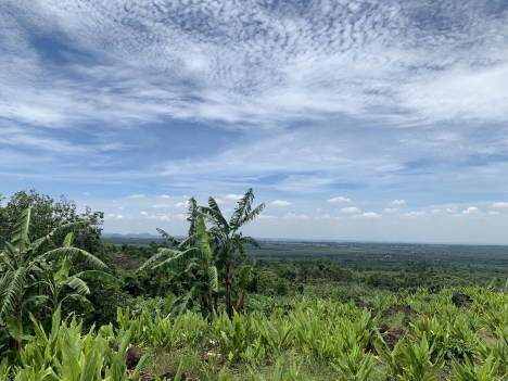Bán lô đất chính chủ 1000m²sổ hồng riêng, liên hệ 0938 311 299