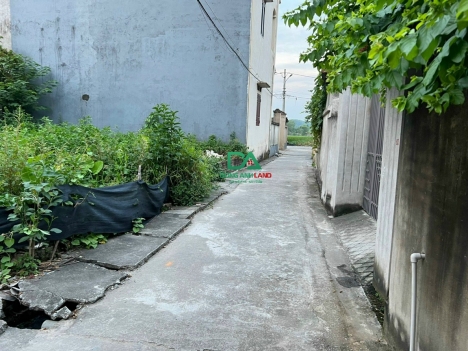 Bán 43.3m2 đất nền Đài Bi Uy Nỗ – Lô góc 3 mặt tiền ngõ thông ô tô