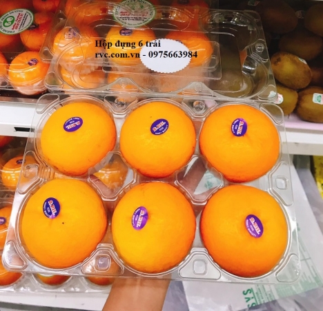 Gợi ý Top mẫu hộp nhựa đựng cam chất lượng trên thị trường