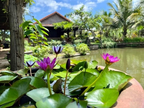 Đất sổ đỏ  chợ Sông Ray,Cẩm Mỹ Đồng Nai,chỉ 1 triệu m2
