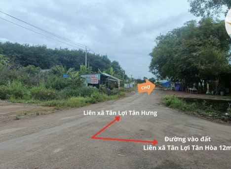 Đất Thành Phố Tân Lợi - Đồng Phú - Bình hức