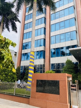 Tòa nhà góc 2MT Bờ Bao Tân Thắng, 8x16, giá 40 tỷ