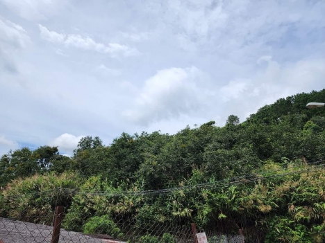 Cần bán gấp đất NN sổ riêng view thoáng đường Khe Sanh, Đà Lạt 500m2 giá 6.5 tỷ