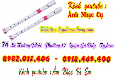 Nơi bán sáo recorder giá hoc sinh tại gò vấp