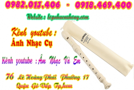 Nơi bán sáo recorder giá hoc sinh tại gò vấp