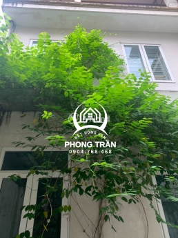 Bán gấp căn Biệt Thự ngõ 603 Lạc Long Quân, Tây Hồ chỉ: 18,2 tỷ, DT 218m2, Dòng tiền cho thuê cực