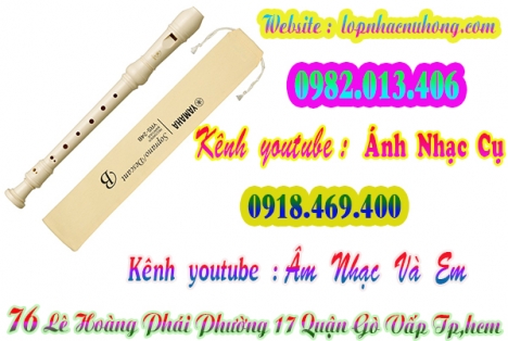 Nơi bán sáo recorder giá hoc sinh tại gò vấp