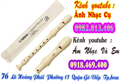 Nơi bán sáo recorder giá hoc sinh tại gò vấp