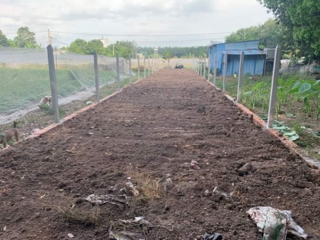 Tôi bán gấp 220m2 đất thổ cư P Phú MỸ Bình Dương hơn 4 tỷ TL