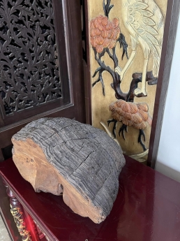 Bán giúp Anh trai nhà biệt thự sân vườn,  HẺM 60 LÂM VĂN BỀN ĐẸP NHẤT TUYẾN ĐƯỜNG quận 7, dt 332m,