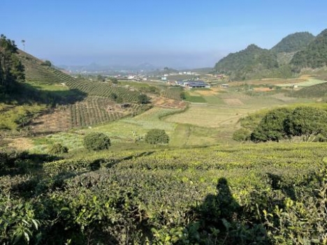 Chiềng Đi- TT Nông Trường. điểm làm cáp treo lên đỉnh Pha Luông của tập đoàn Sun