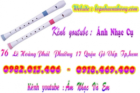 Nơi bán sáo recorder giá hoc sinh tại gò vấp