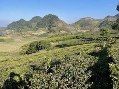 Chiềng Đi- TT Nông Trường. điểm làm cáp treo lên đỉnh Pha Luông của tập đoàn Sun