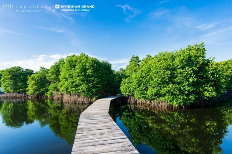 Biệt thự nghỉ dưỡng ven biển Hồ Tràm - Bình Châu