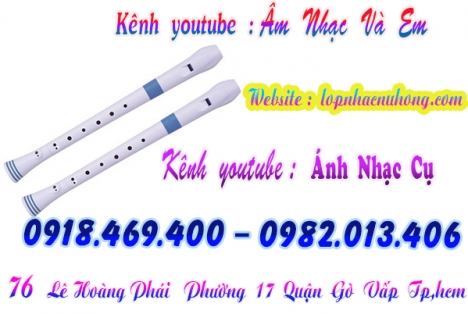 Nơi bán sáo recorder giá hoc sinh tại gò vấp