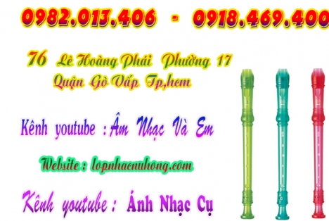 Nơi bán sáo recorder giá hoc sinh tại gò vấp