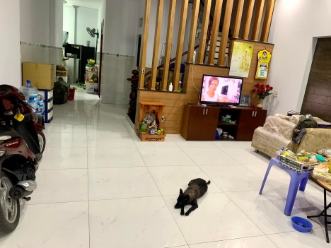 MẶT TIỀN KHỦNG 6.5M NỞ HẬU - NHÀ ĐẸP Ở NGAY - LŨY BÁN BÍCH CHỈ 8.95 TỶ