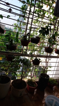 Bán nhà Ngọc Thụy 55m2 x 5 tầng, mặt tiền 4m, giá 5.95 tỷ, ngõ thông 2 ô tô tránh nhau, nhà xây tâm