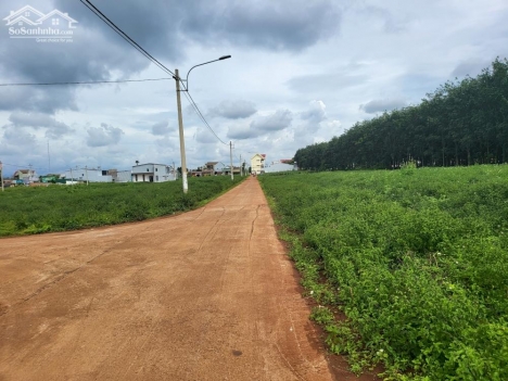 Bán đất khu chợ Phú Lộc -  Đắk Lắkg giá 900 triệu/nền