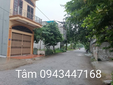 Ngõ 51  Bùi Phổ Tân Thành  Dương Kinh  HP 2,x tỷ lô góc