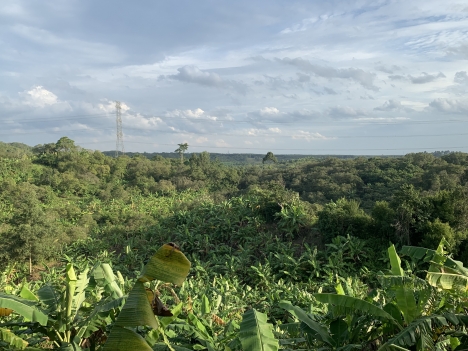 Bán 2 đất vườn gần nhau có dàn cây ăn trái đẹp có view về cao tốc dầu giây
