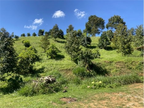 Kẹt tiền bán nhanh lô đất mặt tiền đường nhánh Nguyễn An Ninh 200mTC giá 4ty200