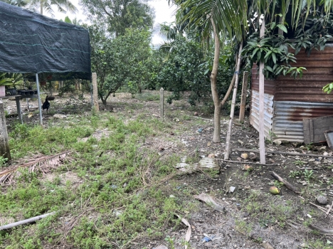 LÔ ĐẤT DIÊN HÒA MẶT TIỀN SẮT TỨ MINH 213M2 CÓ 60 M THỔ CƯ